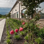 Base Pointe Business Park